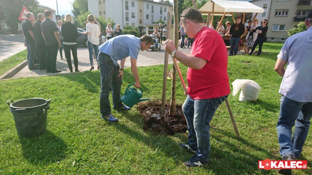 Foto: CEZAM