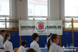 Karate_Ruše3