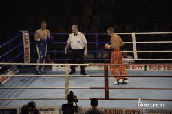 Gregor Stračanek, kickboks