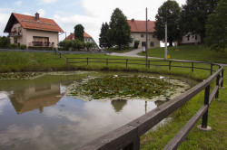 Kapla na Kozjaku 
Foto: Jani Pavlič