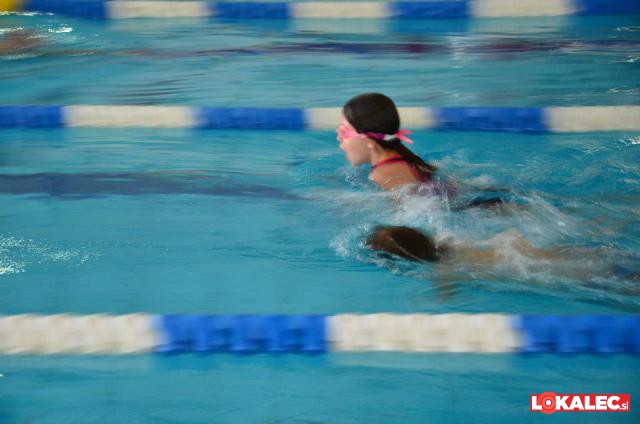 Plavalno tekmovanje