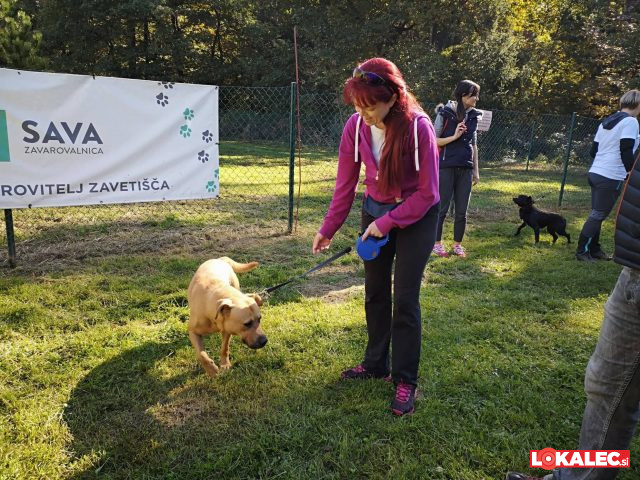 dan odprtih vrta azil maribor, Zavetišče za živali (3)