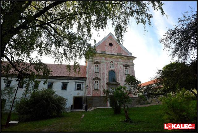 Dominikanski samostan Ptuj