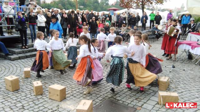 medica - slo čebelarji