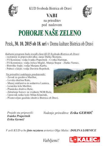 Pohorje zeleno-FS