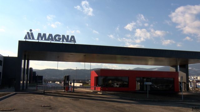 magna