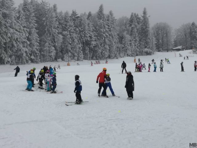 šolar na smuči (3)