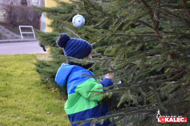 prva predpraznična tržnica v vuzenici (18)